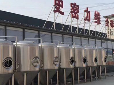 天安乡精酿啤酒设备厂—市场规模与跨界新需求